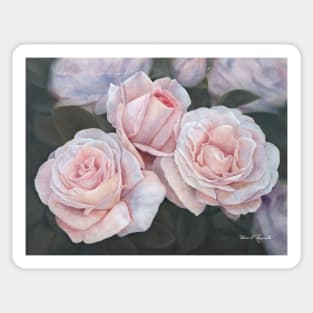 PINK ROSES Sticker